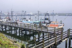 Boats at Blaketown