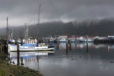 Greymouth Port Reflection