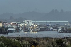 Boats in Port 16 September 2020