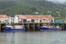 Boats in Port 28 January 2020
