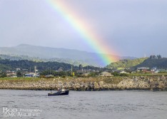 Rainbow over Grey River