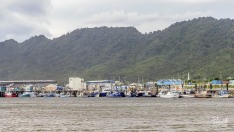 Boats in Port