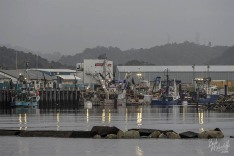 Greymouth Port View