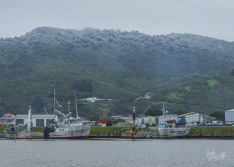 Snow over Port
