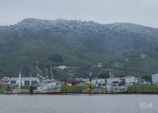 Snow over Port