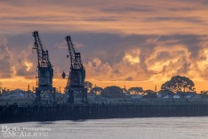 Cranes at Sunset