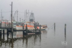 Moored Boats in Fog