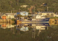 Port Reflection