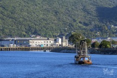 Sea Hunter in Grey River