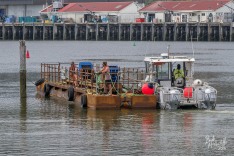 Squalus Manoeuvring  Pontoon