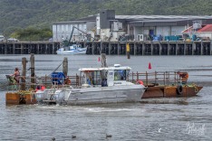 Squalus Manoeuvring  Pontoon