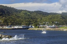 Leaving Port