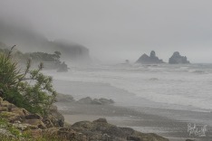 Foggy Day at Motukiekie Rocks