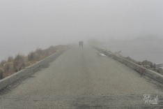 Foggy Day in Greymouth