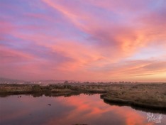 Sunset Reflected