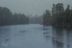 Arnold River in the Rain