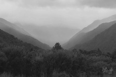 Rain in the Mikonui