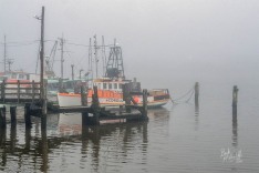 Moored Boats in fog