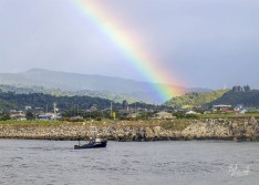 Rainbow over Grey River Rainbow over Grey River