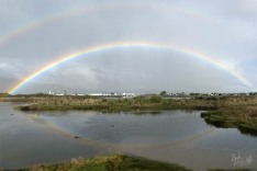 Rainbow Reflected Rainbow Reflected