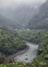 Ten Mile Creek in fog