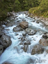 Bealey River Headwaters