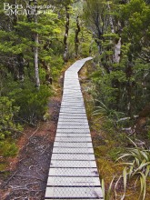 Bealey Valley Boardwalk
