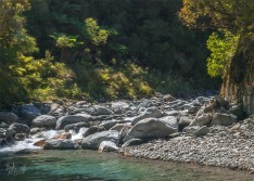 Mikonui River