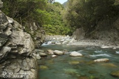 Mikonui Gorge