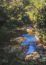 Ngakawau River