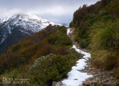 Otira Valley Track