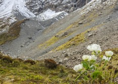 Upper Otira Valley