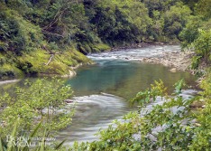 Ten Mile Creek