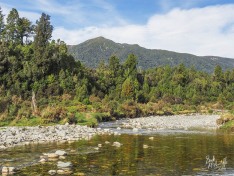 Totara River, South Westland