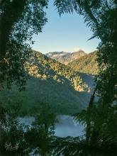 Tuke Valley Fog