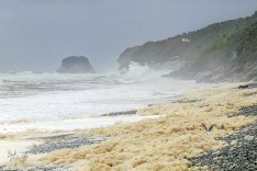 Cobden Beach After Storm