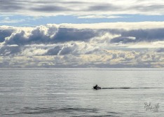 Sea and Sky