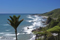 Coastal View