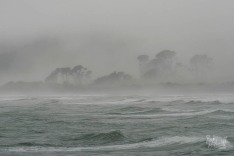 Cobden Beach in Fog