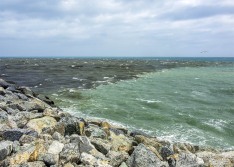 Meeting of River and Sea