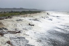 Foam on Beach