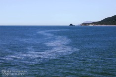 Cobden Beach View