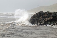 Wave