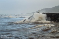 Wave