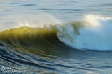Wave