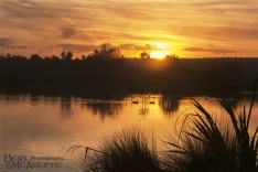 Aramahana Sunset