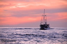 Boat at Sunset