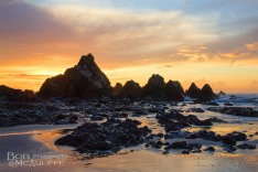 Coast Road Sunset