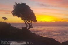 Cobden Sunset