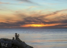 Sunset at Cobden
